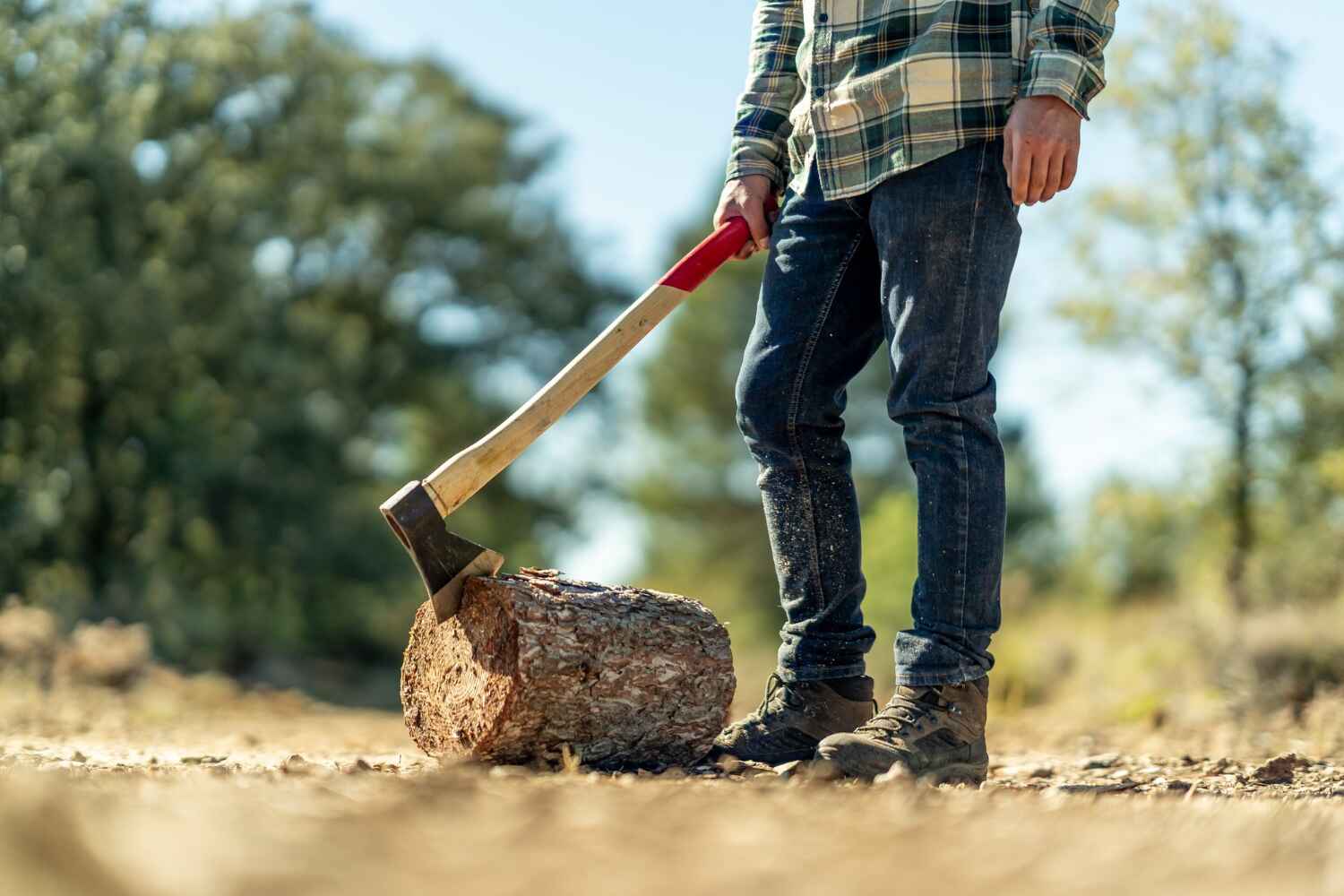 Tree Root Removal in Rockmart, GA